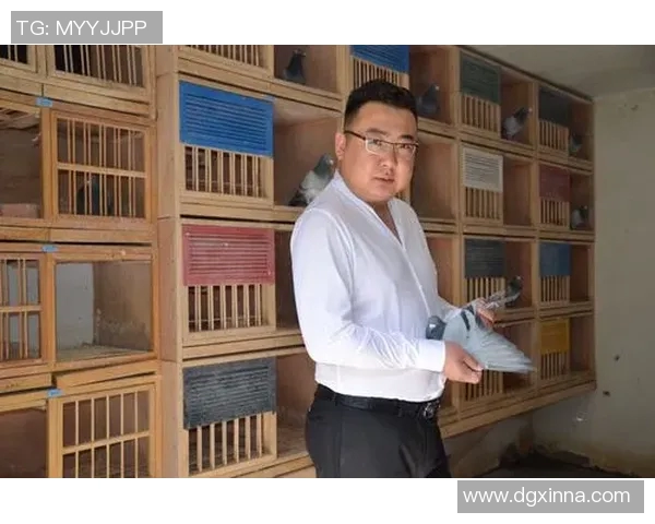 对话羽毛球传奇陈伟：回顾辉煌生涯与未来展望