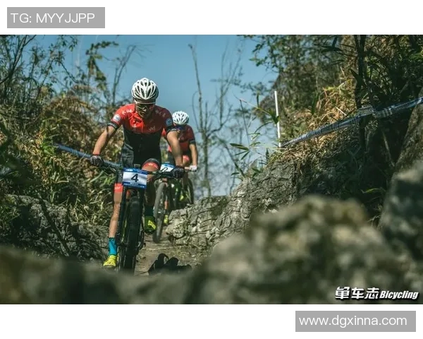 重庆乒乓球队的蜕变与成长亚运会背后的奋斗故事与新篇章