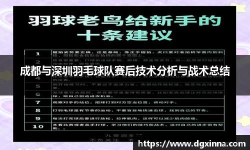 成都与深圳羽毛球队赛后技术分析与战术总结