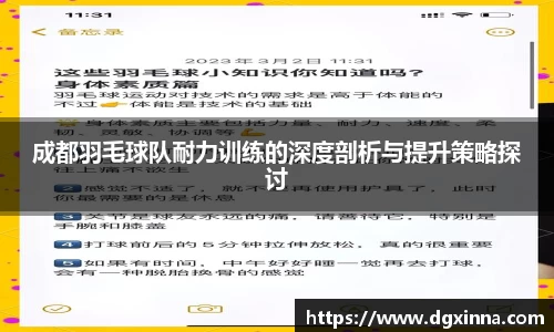 成都羽毛球队耐力训练的深度剖析与提升策略探讨