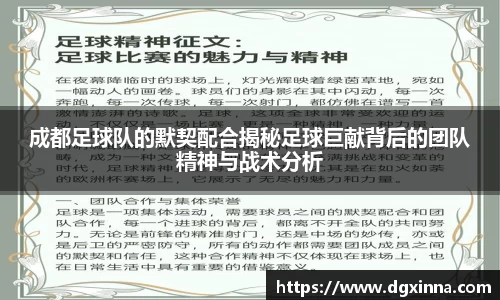 成都足球队的默契配合揭秘足球巨献背后的团队精神与战术分析