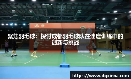 聚焦羽毛球：探讨成都羽毛球队在速度训练中的创新与挑战